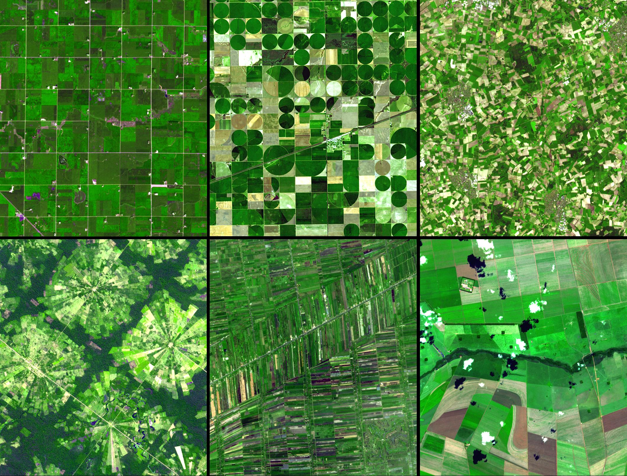 Satellite comparison of different agricultural field types and conditions - NASA Visible Earth
